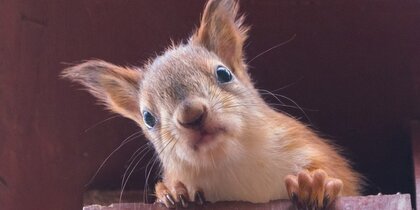 �������� � ���������� ������� ��� ������ ��-�� ������� � ��������� ����