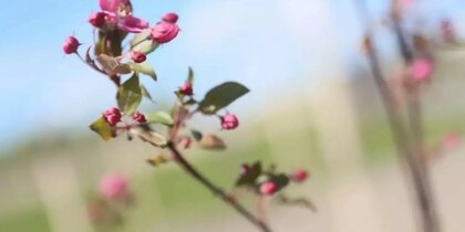�� ����� �������� ���������� �������� ����� ������ � ����� ���������� ����������