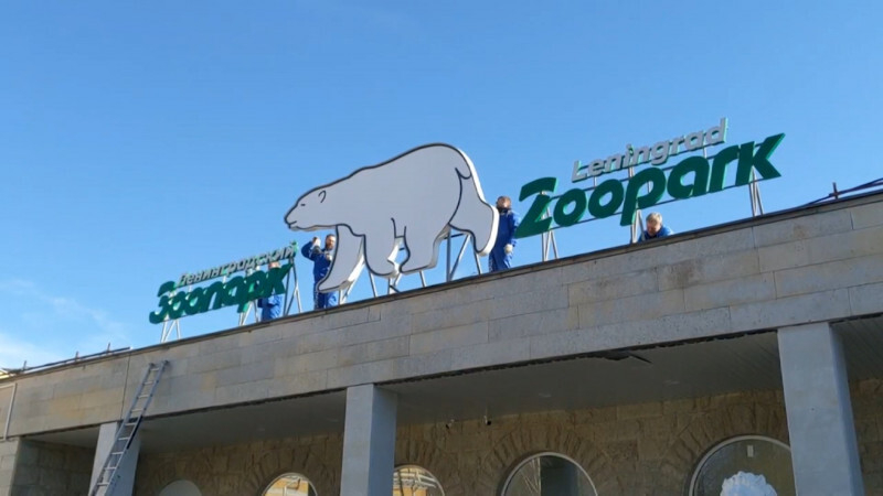 Гостей Ленинградского зоопарка предупредили об изменении графика работы павильона Жираф с 8 мая