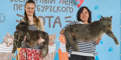� �������� ������� �������� ��������� ���� �������������� ����