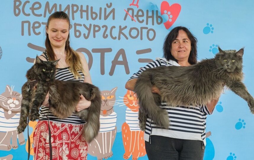В Северной столице отметили Всемирный день петербургского кота