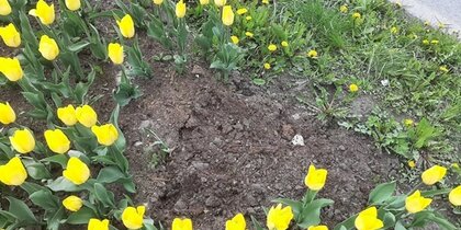 � ���������� ������������ ������� ���������� � ������ � �������