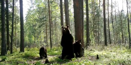 � �������� ���������� ������� ���