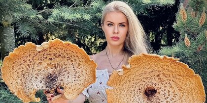 � ���������� ��������� ������� �����