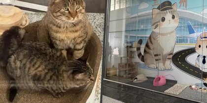 � ��������� ��������� ������� "����� �� ������ � ������" �� ��������� �����