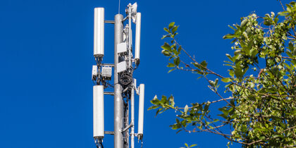 �2 ������ ���� � �������� ����