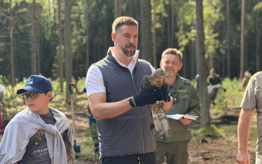 В заказнике Озеро Щучье высадили 250 сосен и выпустили редких птиц после реабилитации