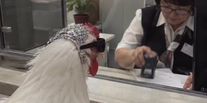�������� ������ ��������� � ��� ��� ��-�� ����� �������� �����
