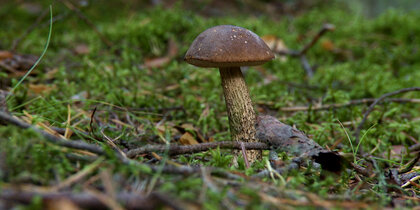������� ���: ��� ������ � ����� ����������