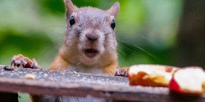 "���������� �������� � ���������": ������������� ���������� ������������ �� ��������� ��������� � ��������� ������� � ������� ��