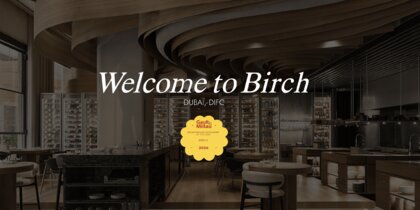 ��������� �������� Birch ������� �������� ������� ������ Michelin