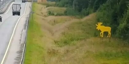 �� ������ �-11 ���������� ��������������� ������ �����