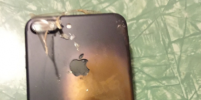 Reddit    iPhone 7