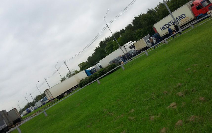 Шторы Купить На Софийской Улице