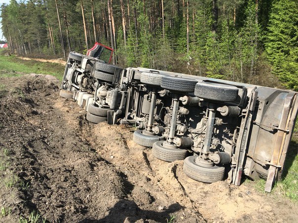 Прилегла с папой на диван