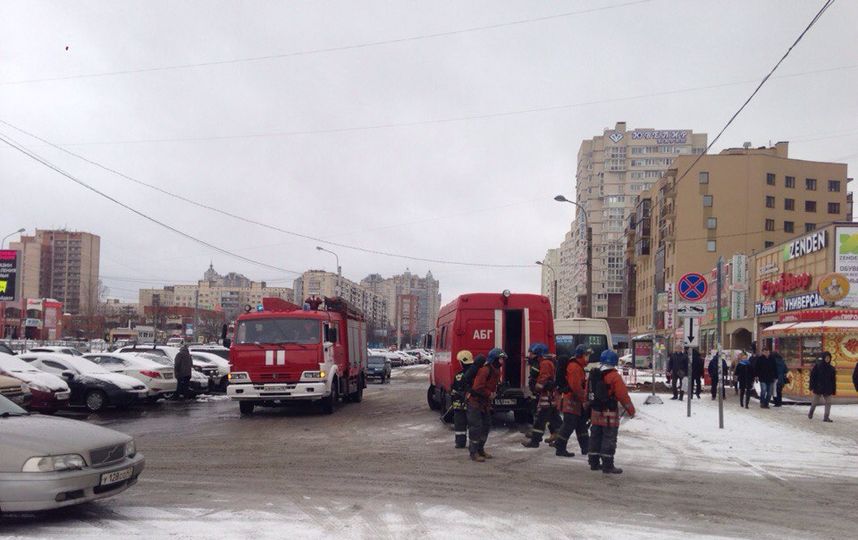Что случилось на проспекте просвещения. Смотреть фото Что случилось на проспекте просвещения. Смотреть картинку Что случилось на проспекте просвещения. Картинка про Что случилось на проспекте просвещения. Фото Что случилось на проспекте просвещения