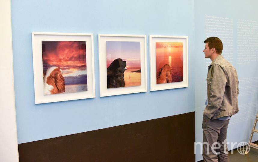 Музей фотографии братьев люмьер в москве официальный