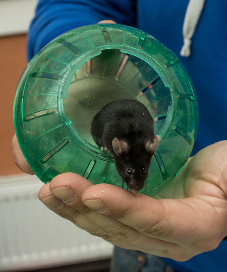 ���� ��������. 