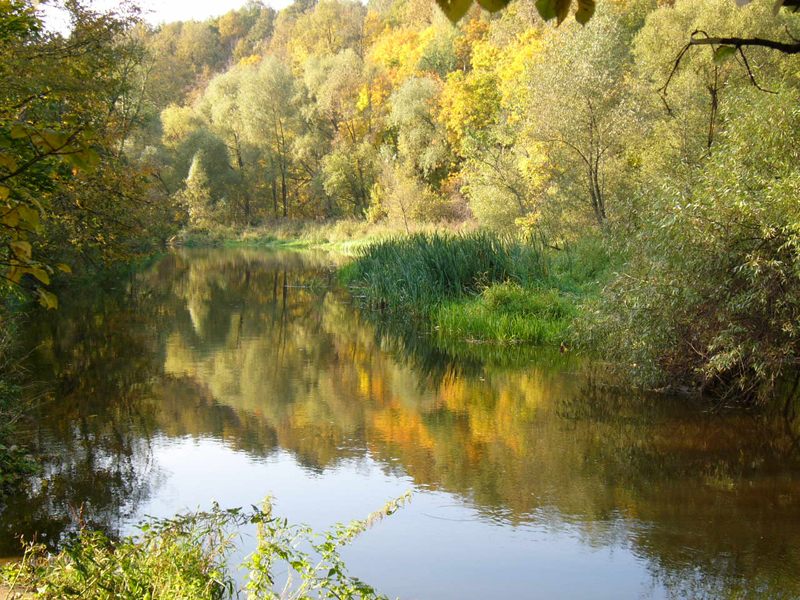 Реки сходни. Парк Долина реки Сходня в Куркино. Парк Долина реки Сходня. Долина реки сходни в Куркино. Долина реки сходни в Куркино природный парк.