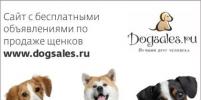      Dogsales.ru 
