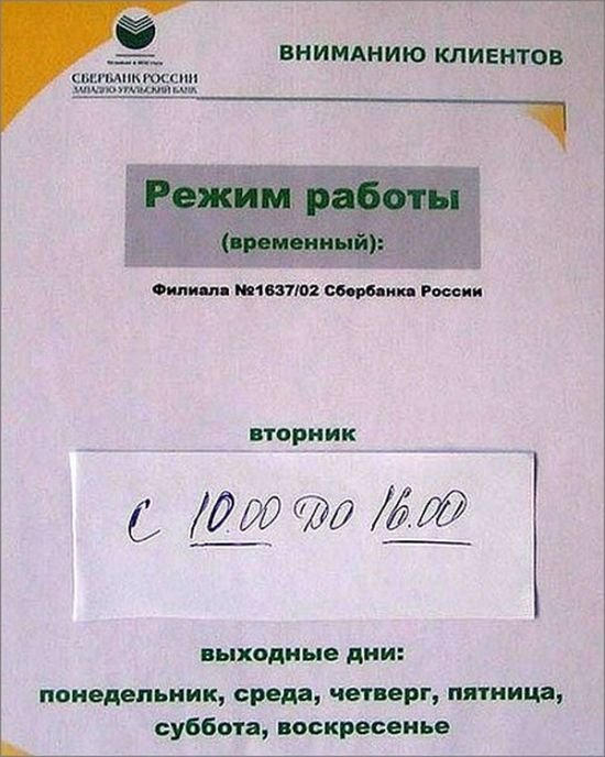 Котятами надписями, картинки о сбербанке прикольные