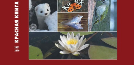 Уссурийский тигр. Животные это определение. Волчья стая фильм 2015. Амурский (уссурийский) тигр. Красная книга россии.