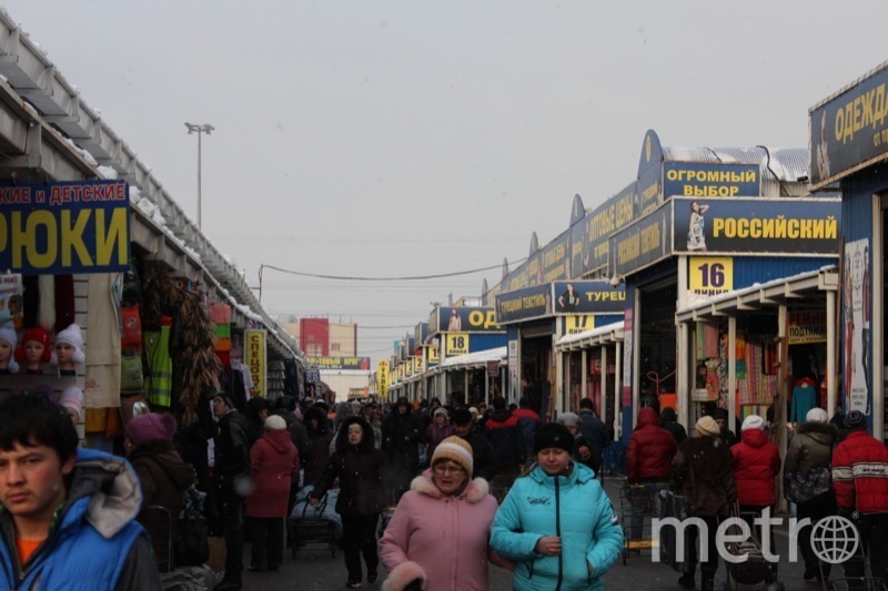 Фото садовода в москве