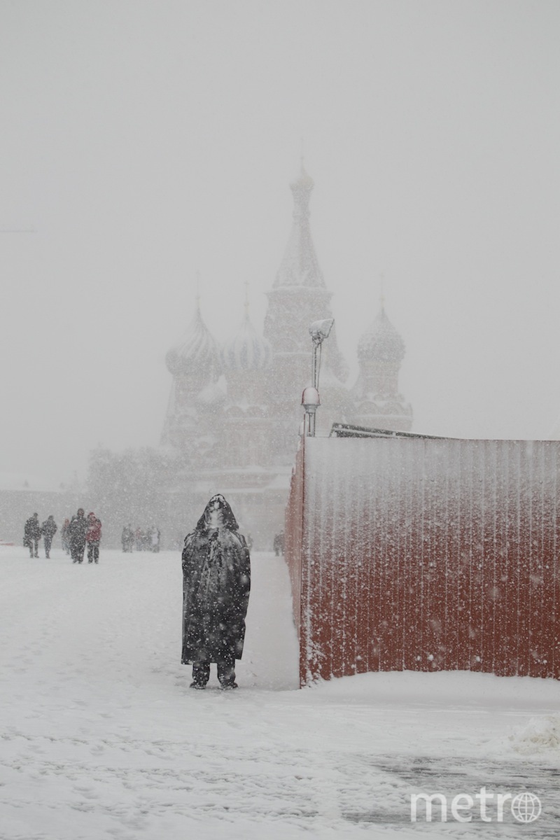 Москву засыпает снегом сегодня фото