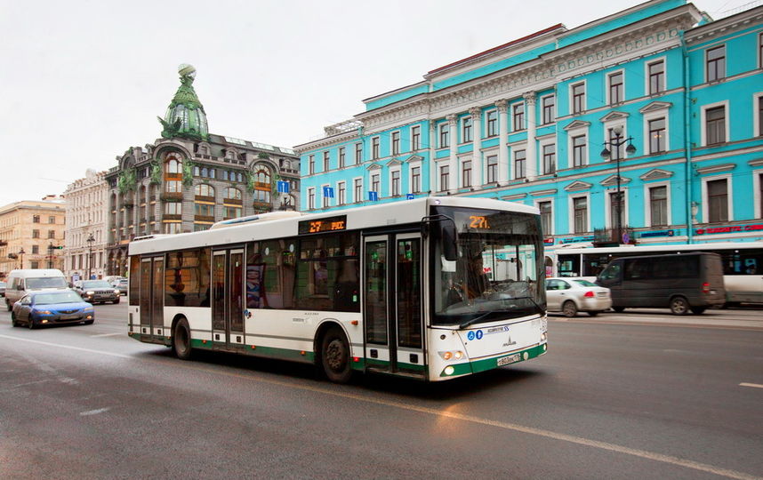 Автобусы в санкт петербурге цены