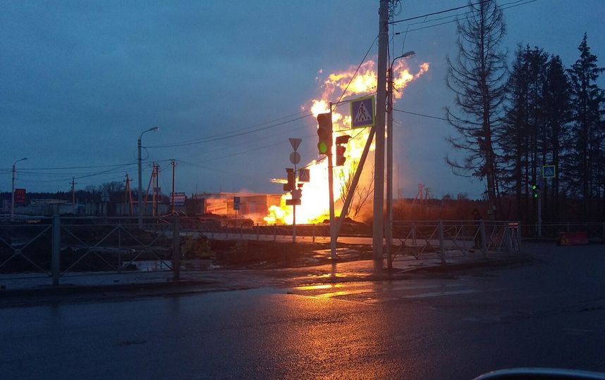 Пожар на газопроводе в Гатчине произошел утром 2 марта. Фото ДТП/ЧП - все, vk.com