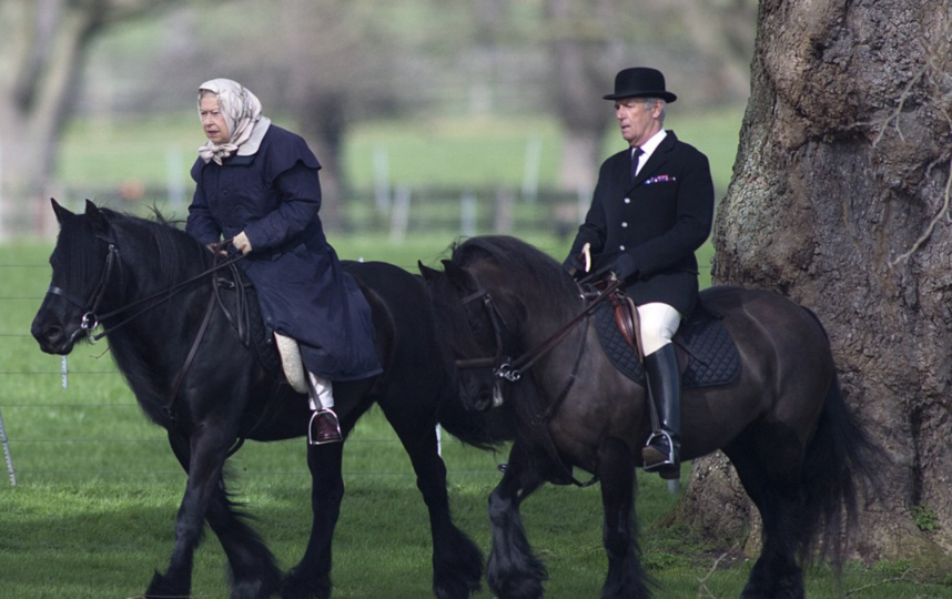 Королева Великобритании Елизавета II на конной прогулке. Фото Скринот с сайта Daily Mail.