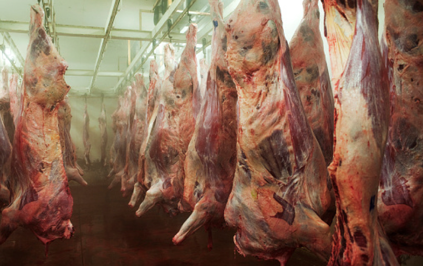 За партию несуществующего мяса петербуржец может сесть на 10 лет. Фото Getty