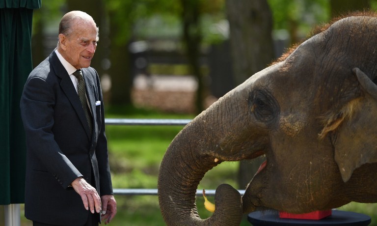 Королева Елизавета II и её супруг принц Филипп в зоопарке в Лондоне. Фото AFP