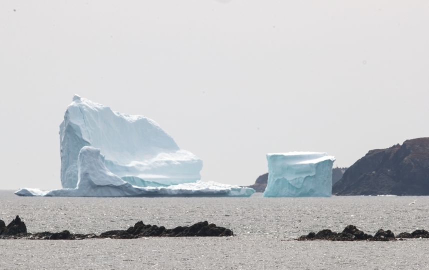 Дрейф айсбергов начался у берегов Канады. Фото Getty