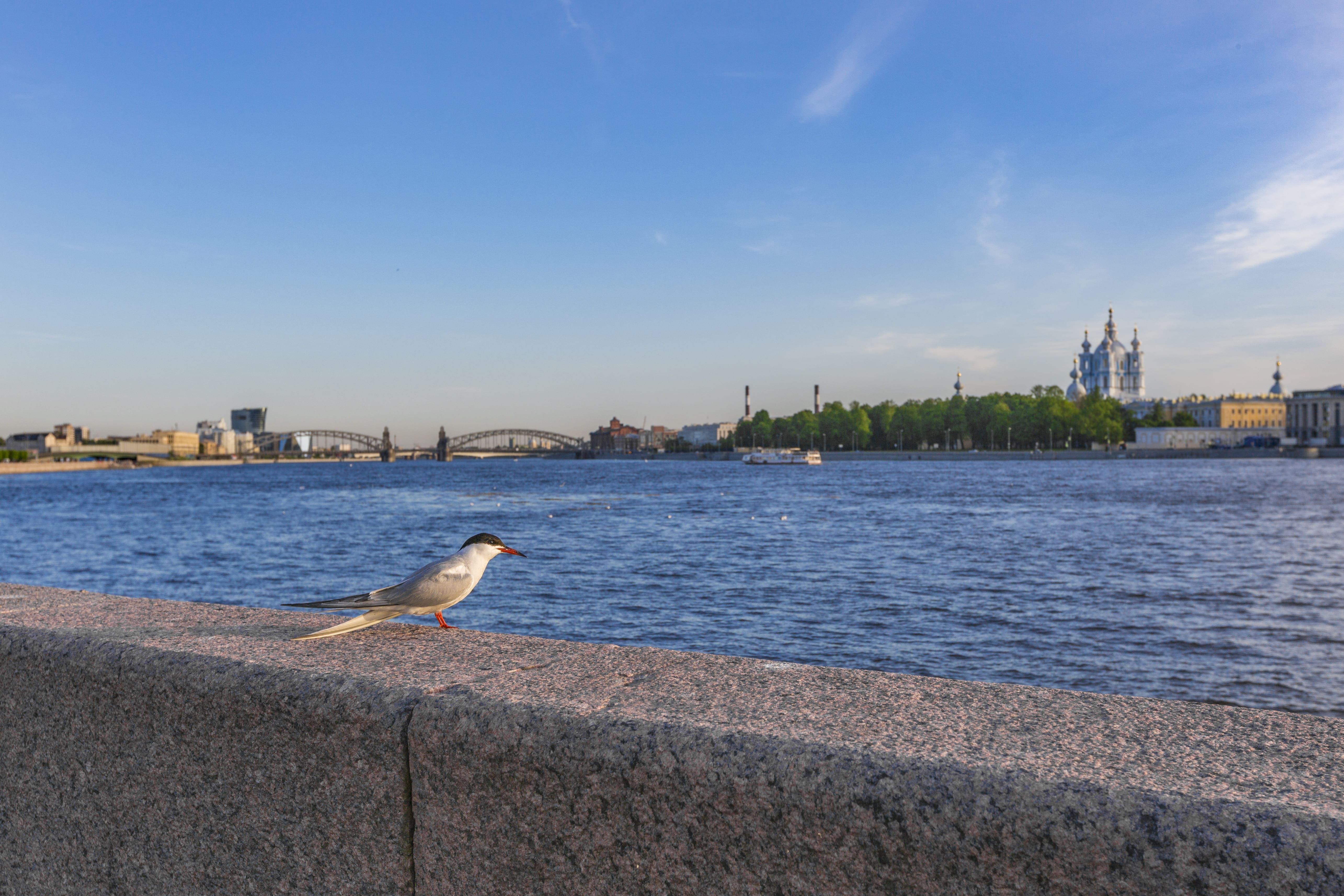 увеличение изображения на сайте